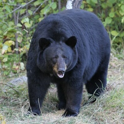 Jared Contreras - Twitter Profile Picture of Jared Contreras (@jaredcontreras0) on Twitter