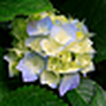 Simone Green - Flickr Profile Picture of Simone Green (@simoneonanadventura) on Flickr