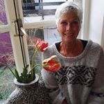 Profile Picture of Diana Alberts (@diaanalberts.60) on Instagram