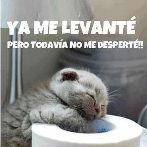 Profile Picture of Pedro Bracamonte (@pedrotanny89) on Twitter