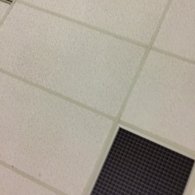 Profile Picture of Jacob Bess (@theJDOG_12) on Twitter