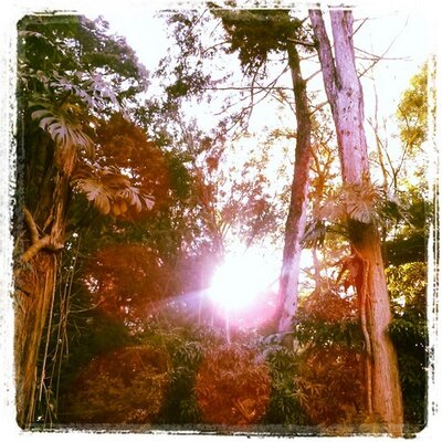 Profile Picture of Steve Giraldo (@saleksa) on Twitter