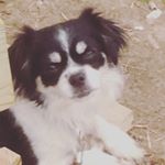 Profile Picture of Cheryl Johnson (@sissylynn2007) on Instagram