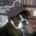 Profile Picture of LaRae Anderson (@landerson6821) on Pinterest