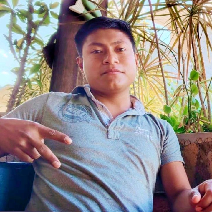 albert - Tiktok Profile Picture of albert (@alberthcatchcm) on Tiktok