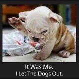 Profile Picture of Cathy Molina (@tncmolina) on Pinterest