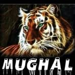 Profile Picture of Shafiq Ahmed (@Shafiq-Ahmed) on Facebook