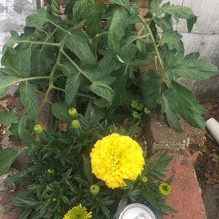 Profile Picture of Thomas Duffy (@thomas.duffy.524381) on Facebook