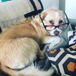 Profile Picture of Aaron Eisenberg (@aaroneisenberg) on Instagram