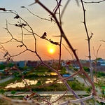 Profile Picture of Kumud Pratap Singh (@kumudpratap918) on Flickr
