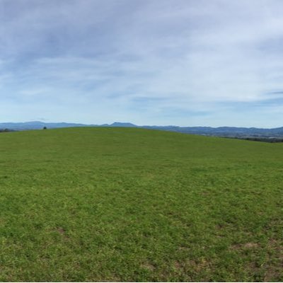 Profile Picture of Brian Flath (@brianflath) on Twitter