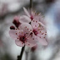 Profile Picture of Joshua Jensen (@joshua-jensen-130) on Quora