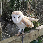 Profile Picture of Paul McCarthy (@paulmccarthy231) on Youtube