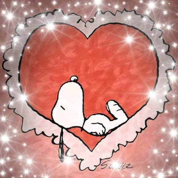 Dawn Brule adams - Poshmark Profile Picture of Dawn Brule adams (@ddka) on Poshmark