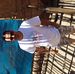 Profile Picture of Chris Schepers (@chris.schepers1) on Facebook