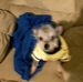 Profile Picture of Wanda Rutherford (@wanda.rutherford.315) on Facebook