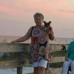 Profile Picture of Pam Craven (@cravenpam) on Instagram