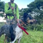 Profile Picture of Collin Higashi (@collin.higashi) on Facebook