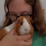 Profile Picture of Jessica Gustke (@jessica.gustke.37) on Facebook