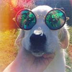 Profile Picture of Peter Abramov (@pure_emanation) on Instagram