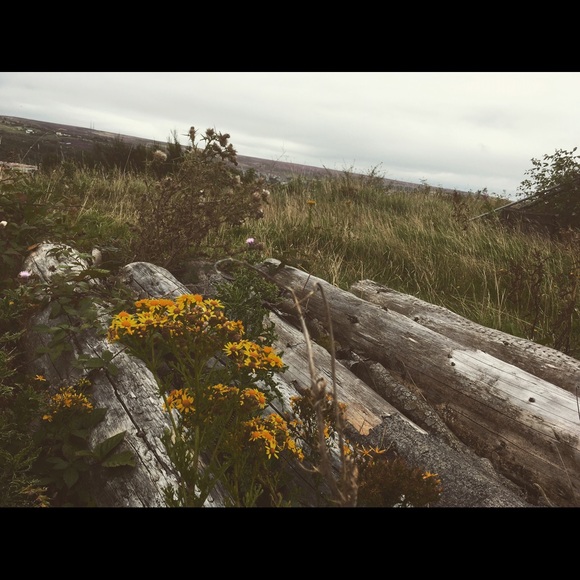 Alexei Kraytman - Poshmark Profile Picture of Alexei Kraytman (@alexei12345) on Poshmark