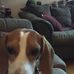 Profile Picture of Lisa Swarthout (@lisa.swarthout.5477) on Facebook