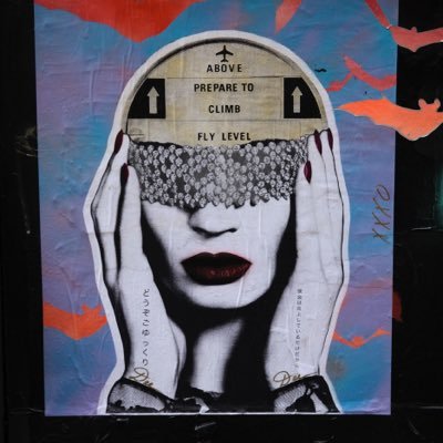 Profile Picture of Dan.schuman (@tampabayconcert) on Twitter