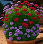 Profile Picture of Beatrice Manso (@beatrice.manso.1) on Facebook