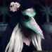 Profile Picture of Katelyn Stark (@katelyn.stark.77) on Facebook