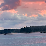 Profile Picture of Brayden Taylor (@Chickennugget-245) on Youtube