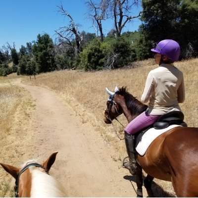 Gillian Ryan - Twitter Profile Picture of Gillian Ryan (@GilleeRyan) on Twitter