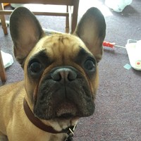 Profile Picture of Vasilii Alexander Golub (@vasilii-alexander-golub) on Quora