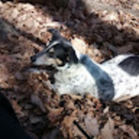 Christine Priller - Poshmark Profile Picture of Christine Priller (@cpriller) on Poshmark