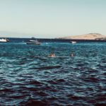 Profile Picture of Javier Mayor García Lisón (@javiimayoor) on Instagram