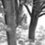 Profile Picture of Bradford Leonard (@Bradford Leonard Photography) on Flickr