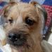 Profile Picture of Floyd Coyle (@floyd.coyle.3) on Facebook