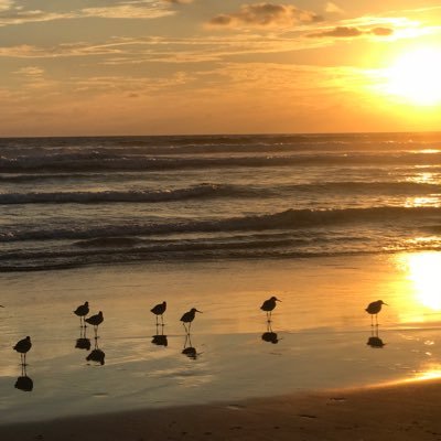 Profile Picture of Monica Trigueros (@mokatri) on Twitter