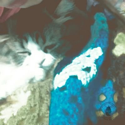 Profile Picture of Julia Arellano Pavon (@ArellanoPavon) on Twitter