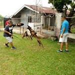 Profile Picture of Donny Wong (@_donny_wong_) on Instagram