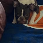 Profile Picture of Carter Horton (@Carter-Horton) on Facebook