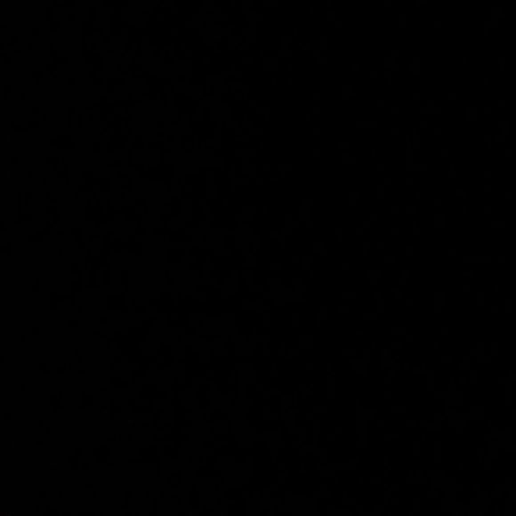 Profile Picture of Brian Navarro (@brianmotor) on Poshmark