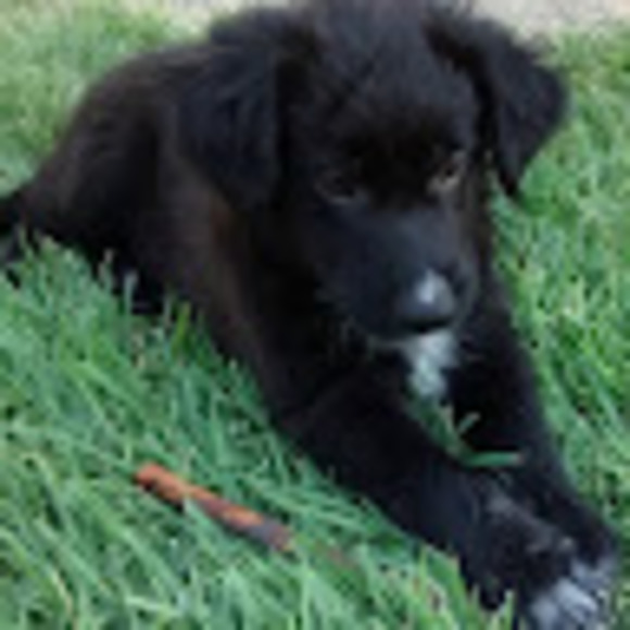 Profile Picture of Meagan Schmidt (@meagansch34) on Poshmark