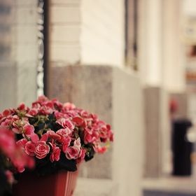 Profile Picture of Elif Guven Cakir (@eguvencakir) on Pinterest