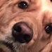 Profile Picture of Scott Appell (@scott.appell.73) on Facebook