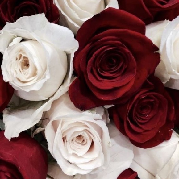 Sophia Anastopoulos - Poshmark Profile Picture of Sophia Anastopoulos (@sophm101) on Poshmark