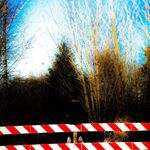 Brendan 👌😆✌ - Instagram Profile Picture of Brendan 👌😆✌ (@brendan._.carter._) on Instagram