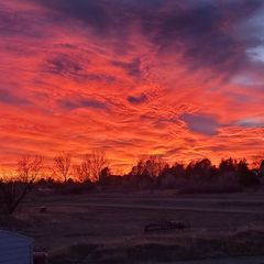 Profile Picture of stacyhazen191 (@stacyhazen191) on Tiktok