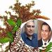 Profile Picture of Mohamed Nofal (@mohamed.nofal.54) on Facebook