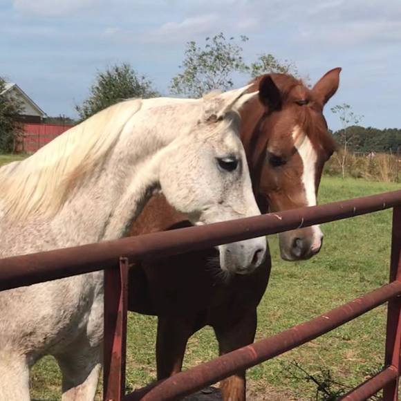 Profile Picture of Nicole Arico kimble (@colekimble) on Poshmark