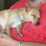 Profile Picture of Joel Gerlach (@gerlachjoel) on Instagram